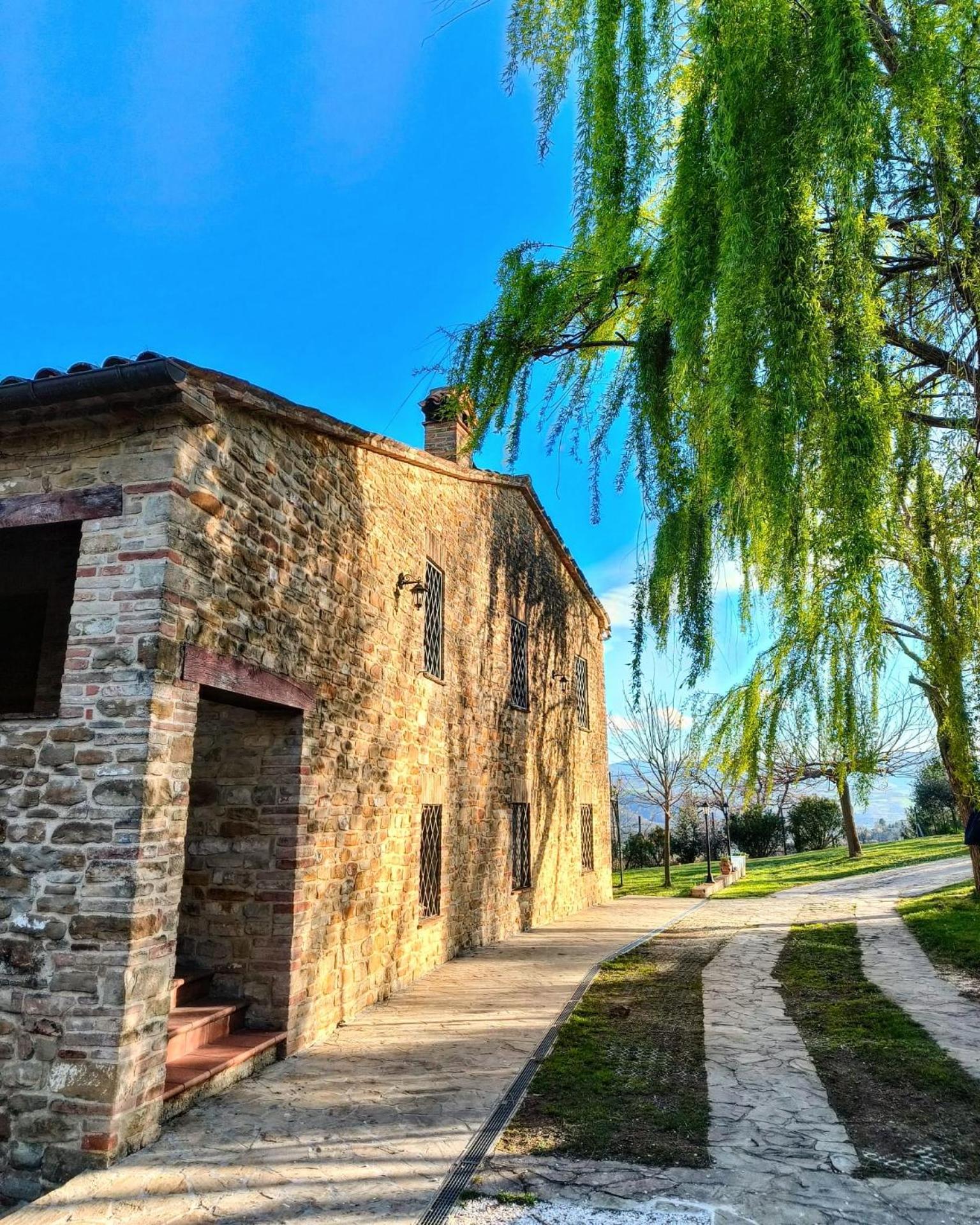 B&B Nel Vigneto Castelplanio Exteriér fotografie